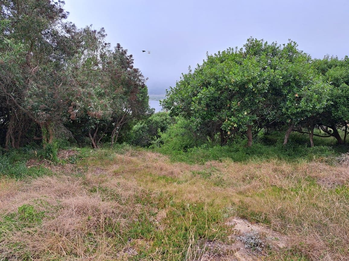 1 168 m² Land available in Groot Brakrivier