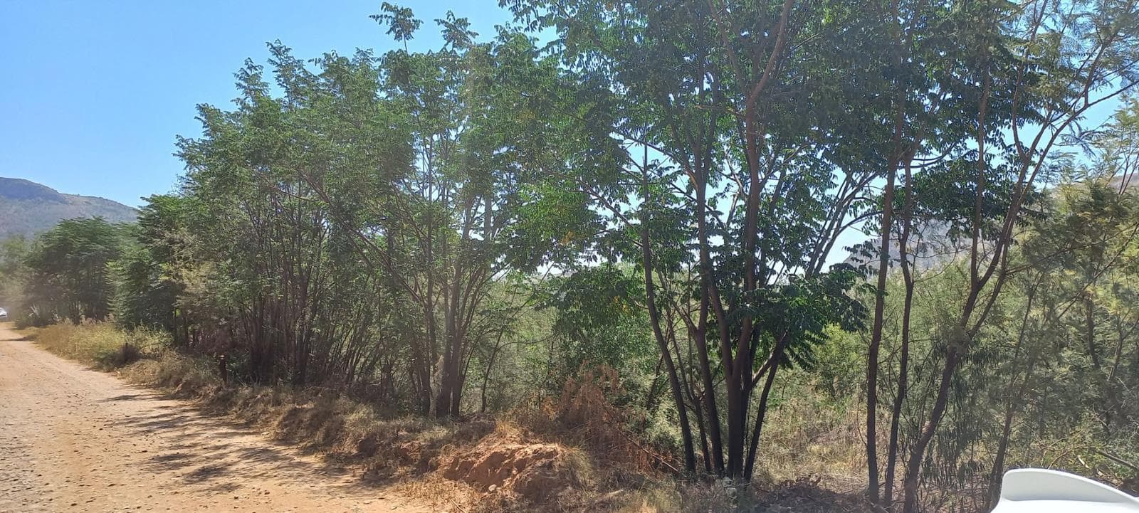 9 398 m² Land available in Olifantsnek