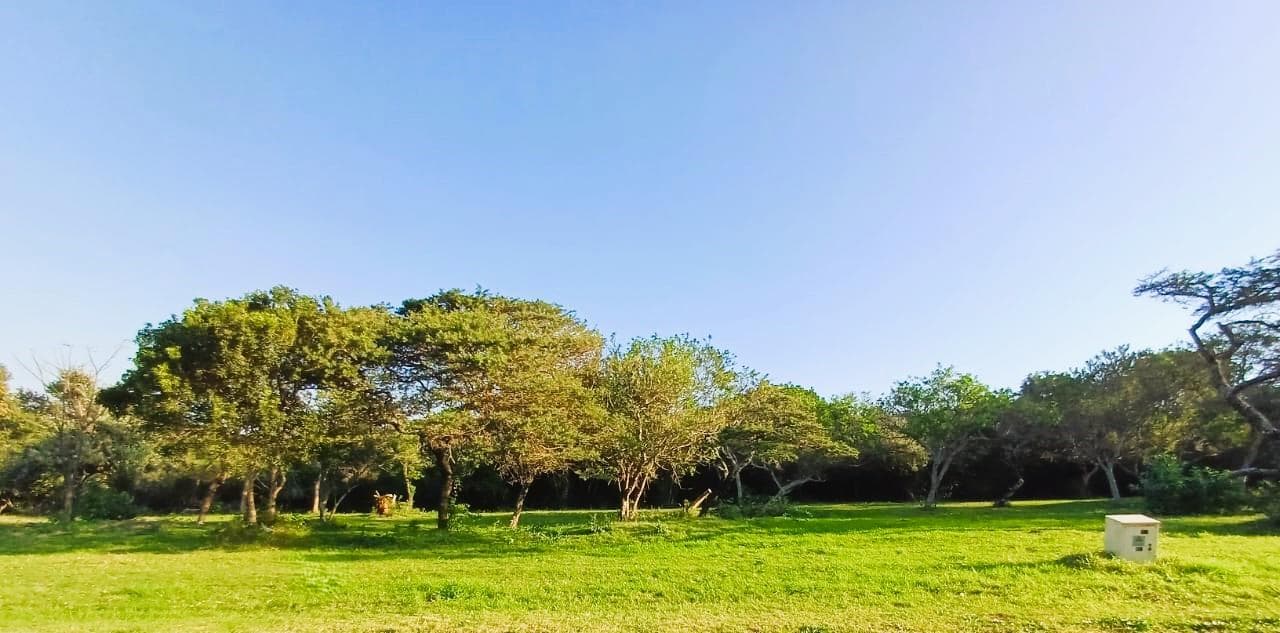809 m² Land available in Cintsa East