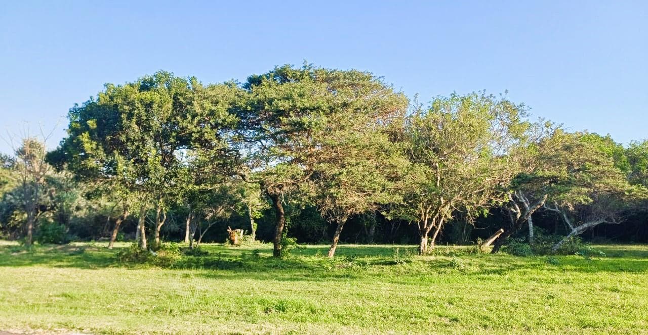 809 m² Land available in Cintsa East