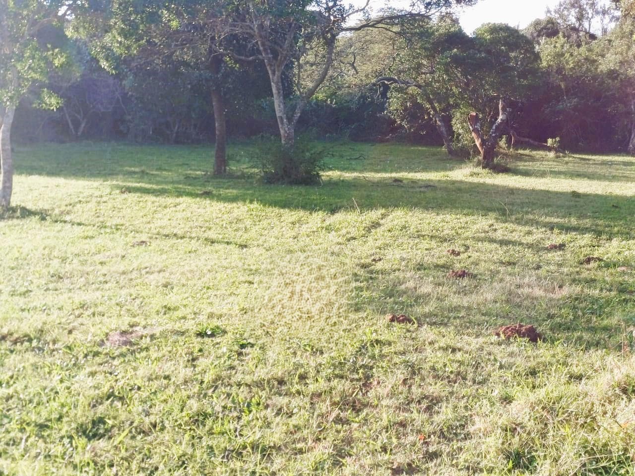 904 m² Land available in Cintsa East
