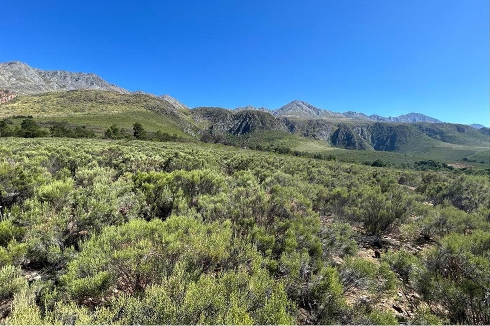 Property for sale in Oudtshoorn