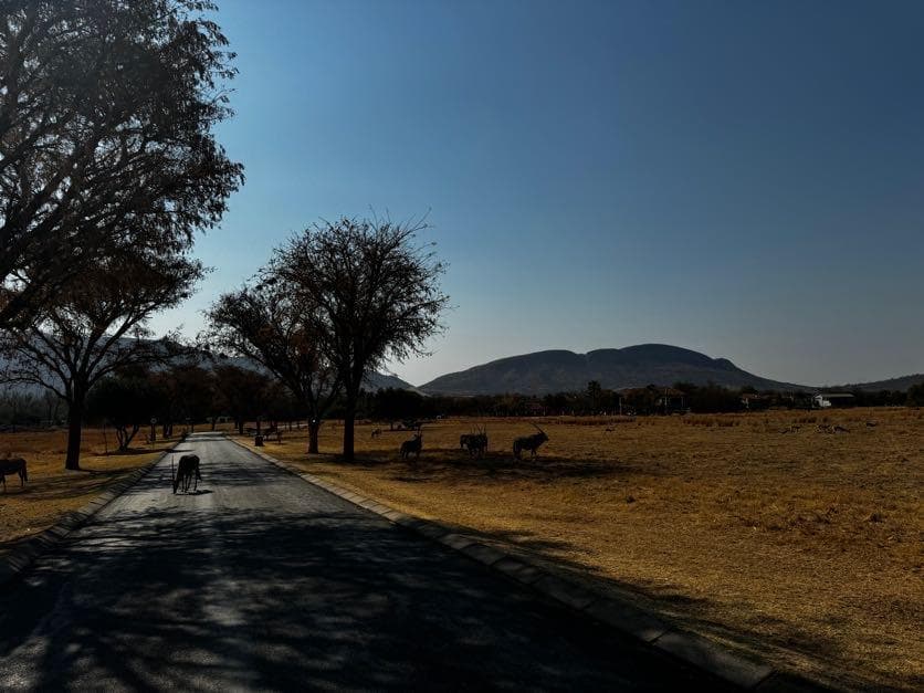 1 188 m² Land available in Westlake Estate