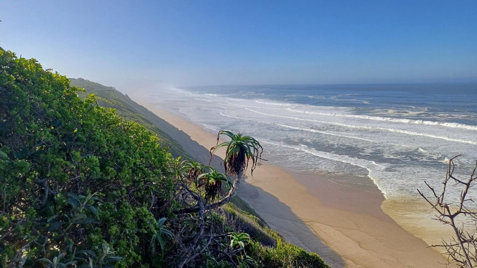988 m² Land available in Wilderness