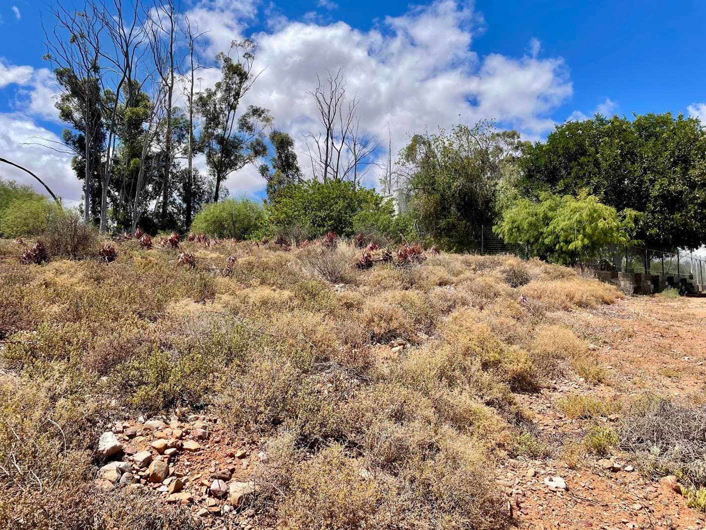 1 706 m² Land available in Calitzdorp
