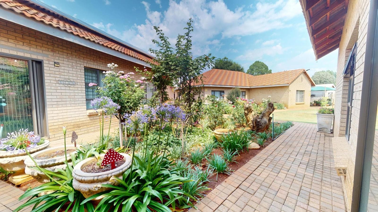 17 Bedroom House in Vyfhoek