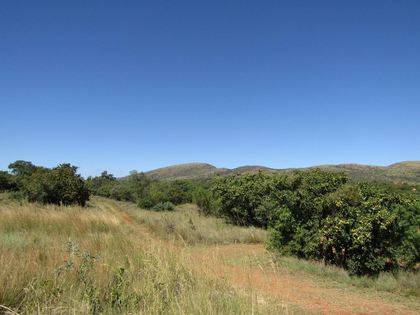 634 m² Land available in Seasons Lifestyle Estate