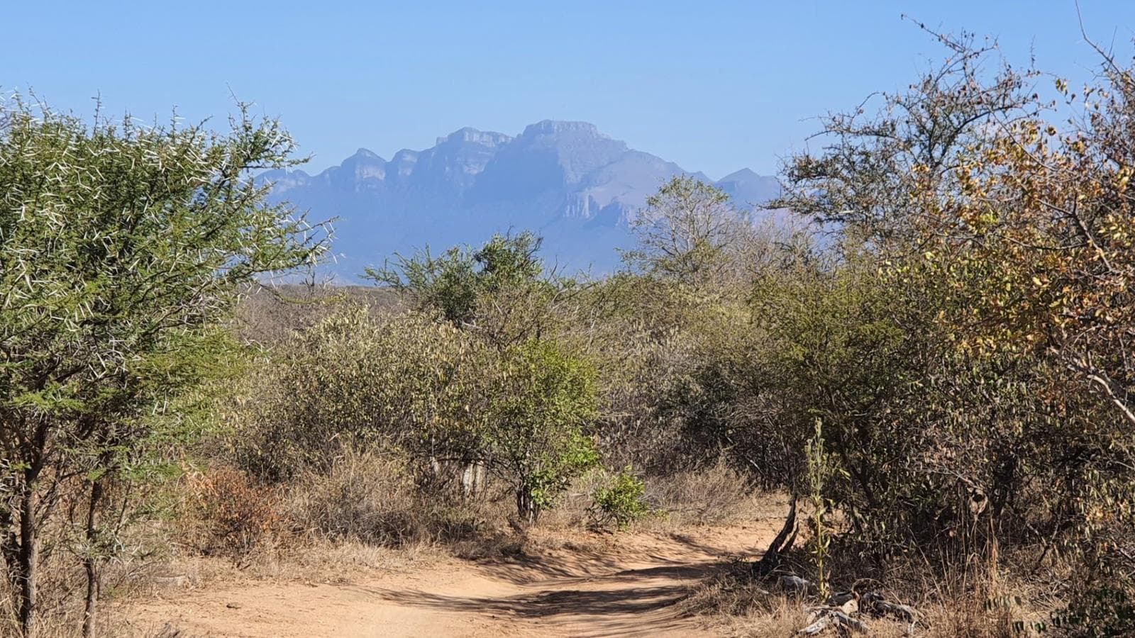 1.3 ha Land available in Raptors View Wildlife Estate