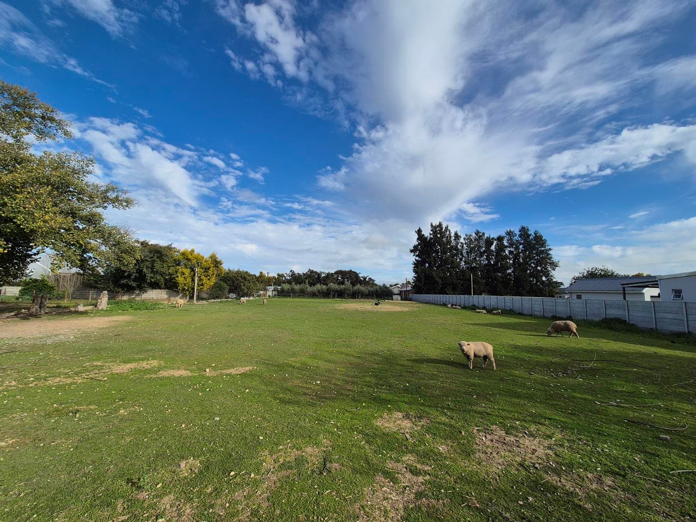 2 855 m² Land available in Porterville