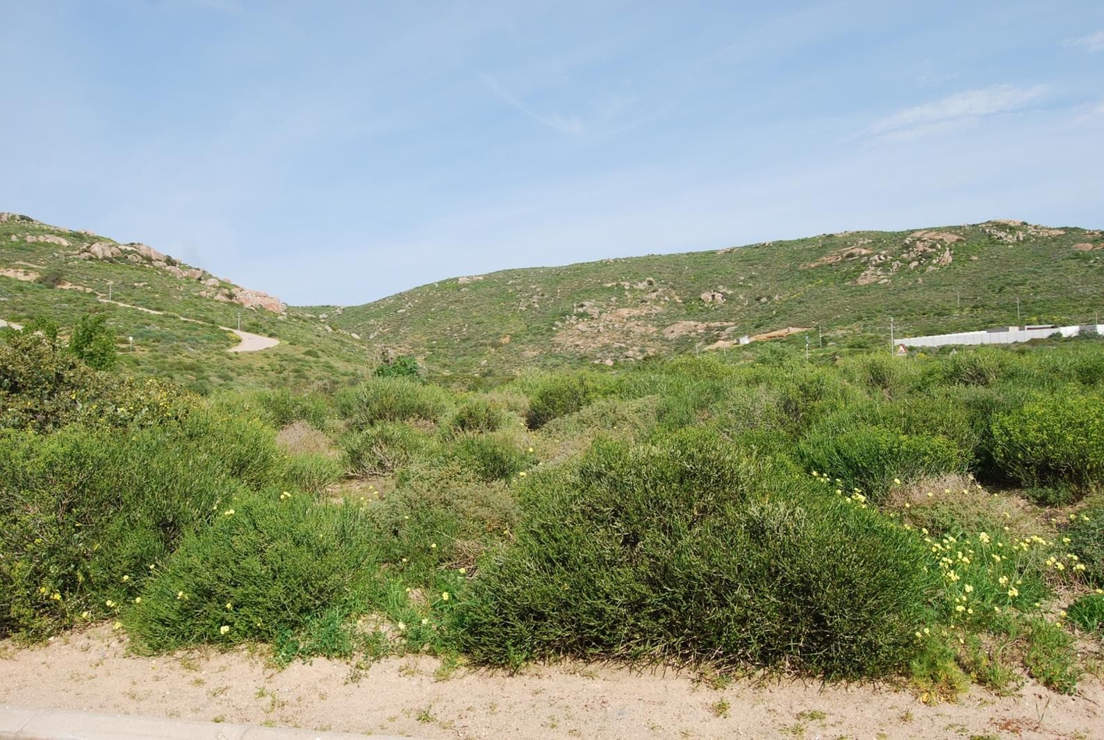 429 m² Land available in St Helena Views