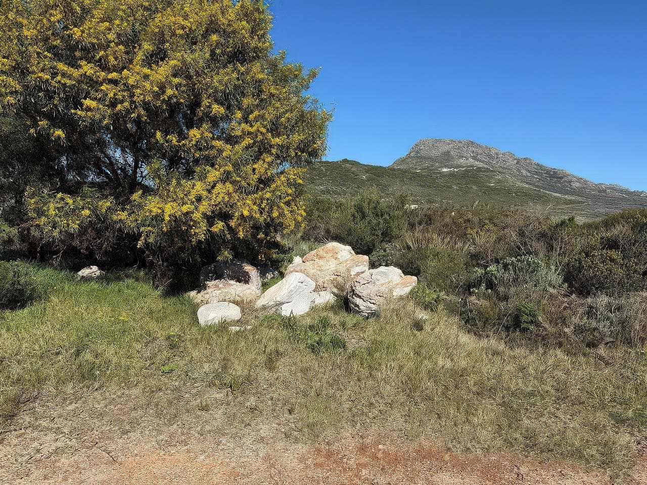 600 m² Land available in Bettys Bay