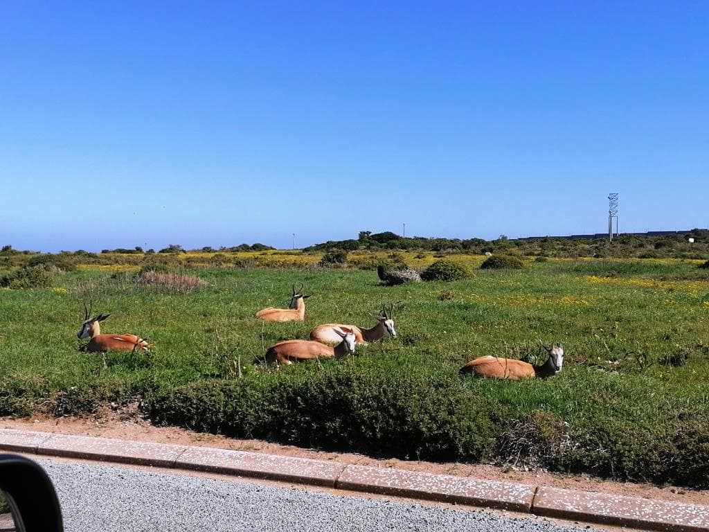 620 m² Land available in Hoogland