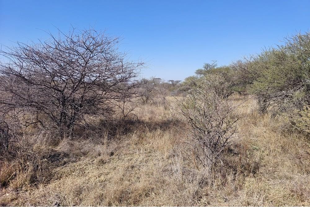 1.8 ha Land available in Thabazimbi