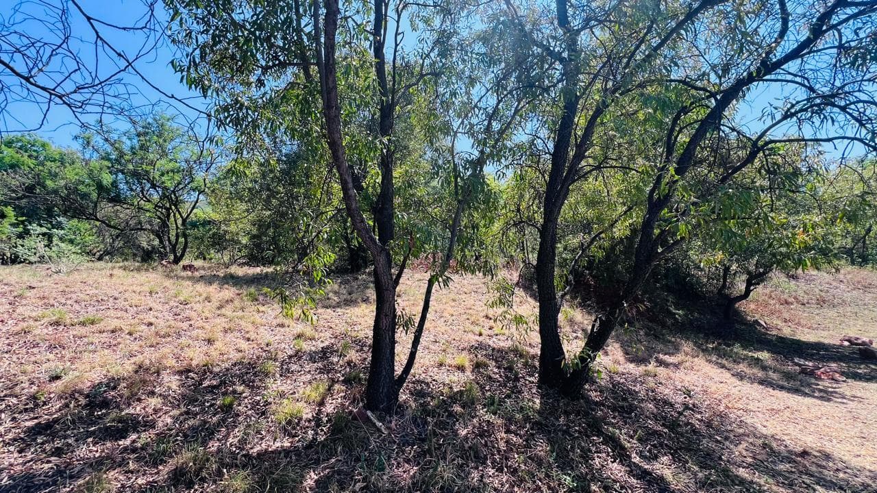 924 m² Land available in Kosmos Ridge