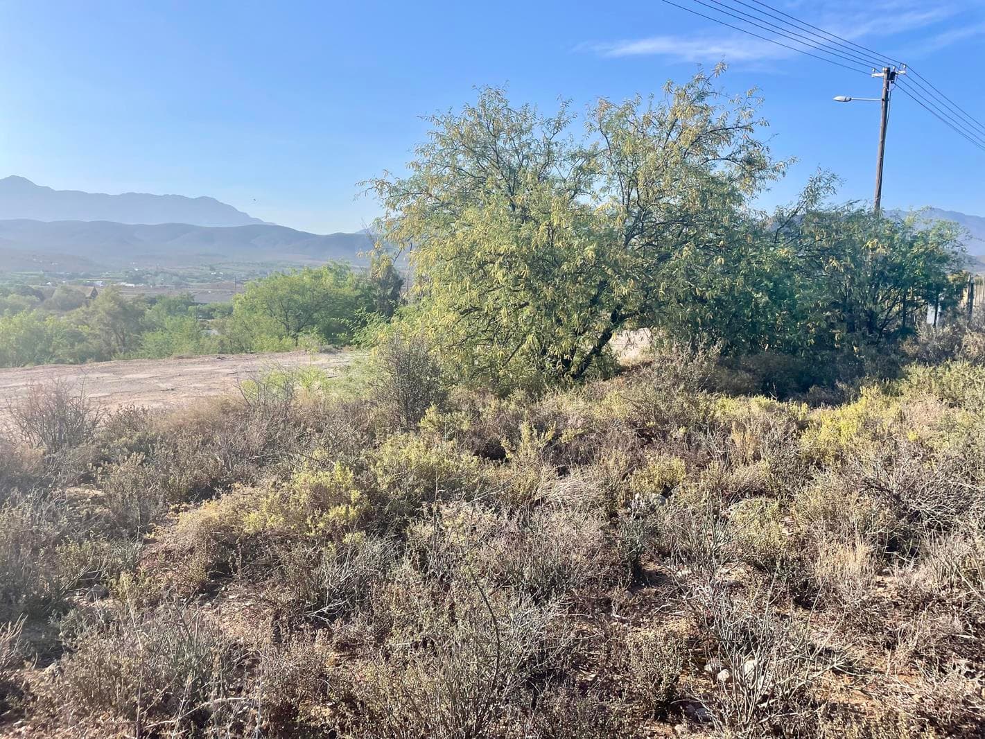 1 539 m² Land available in Calitzdorp