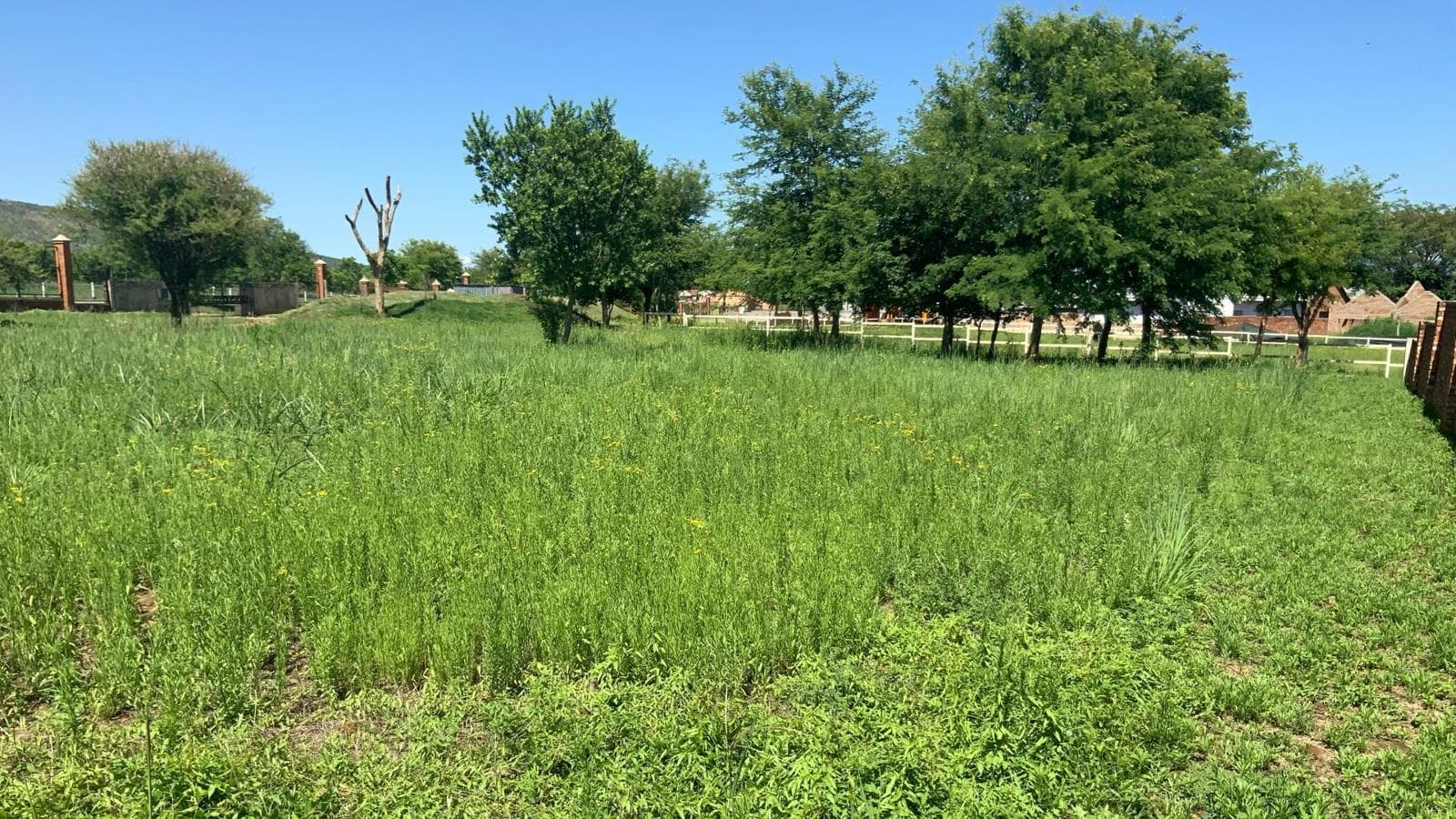 1 319 m² Land available in Meerhof