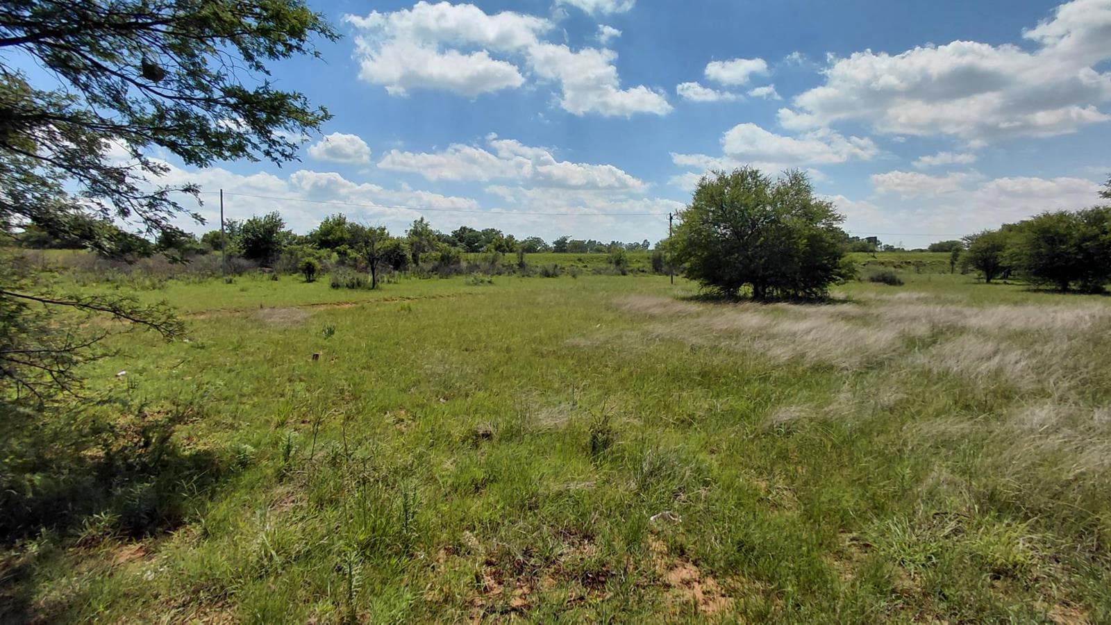 2 300 m² Land available in Orkney