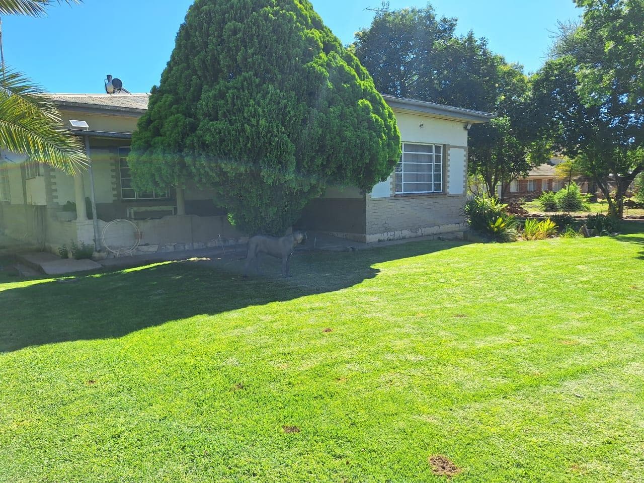 3 Bedroom House in Delportshoop