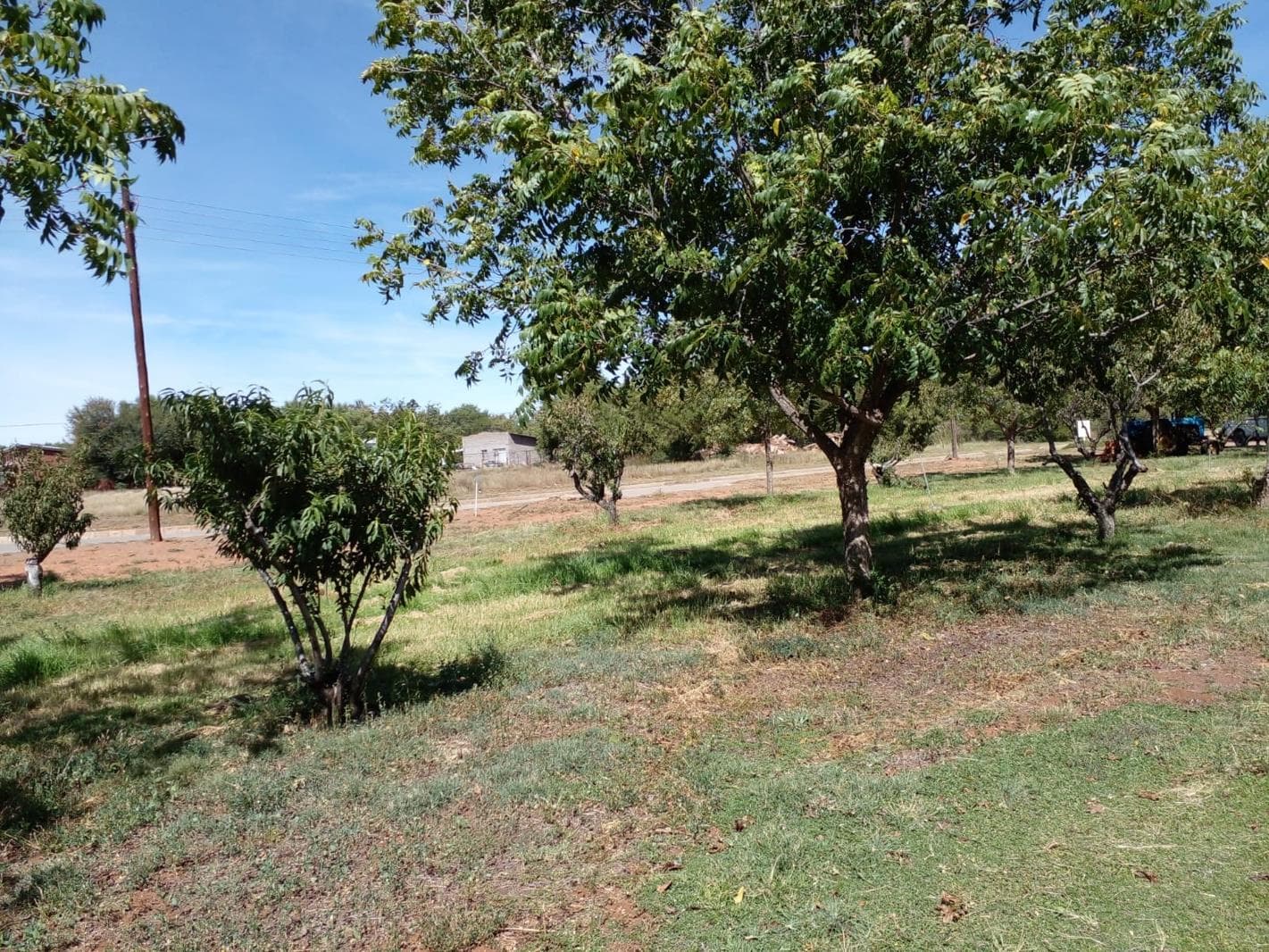 701 m² Land available in Orania