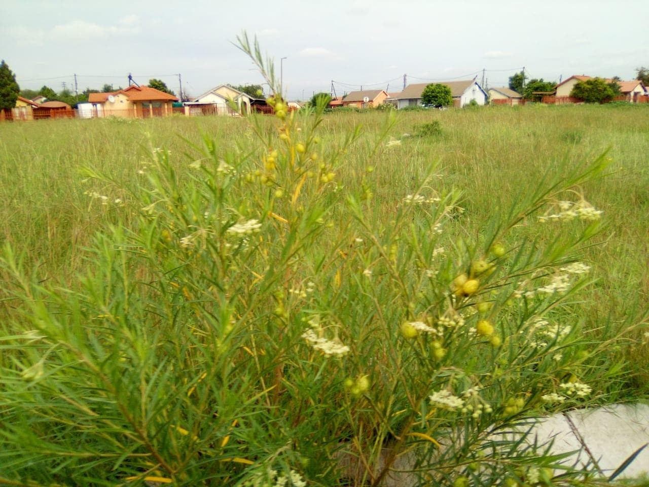 275 m² Land available in Boitekong