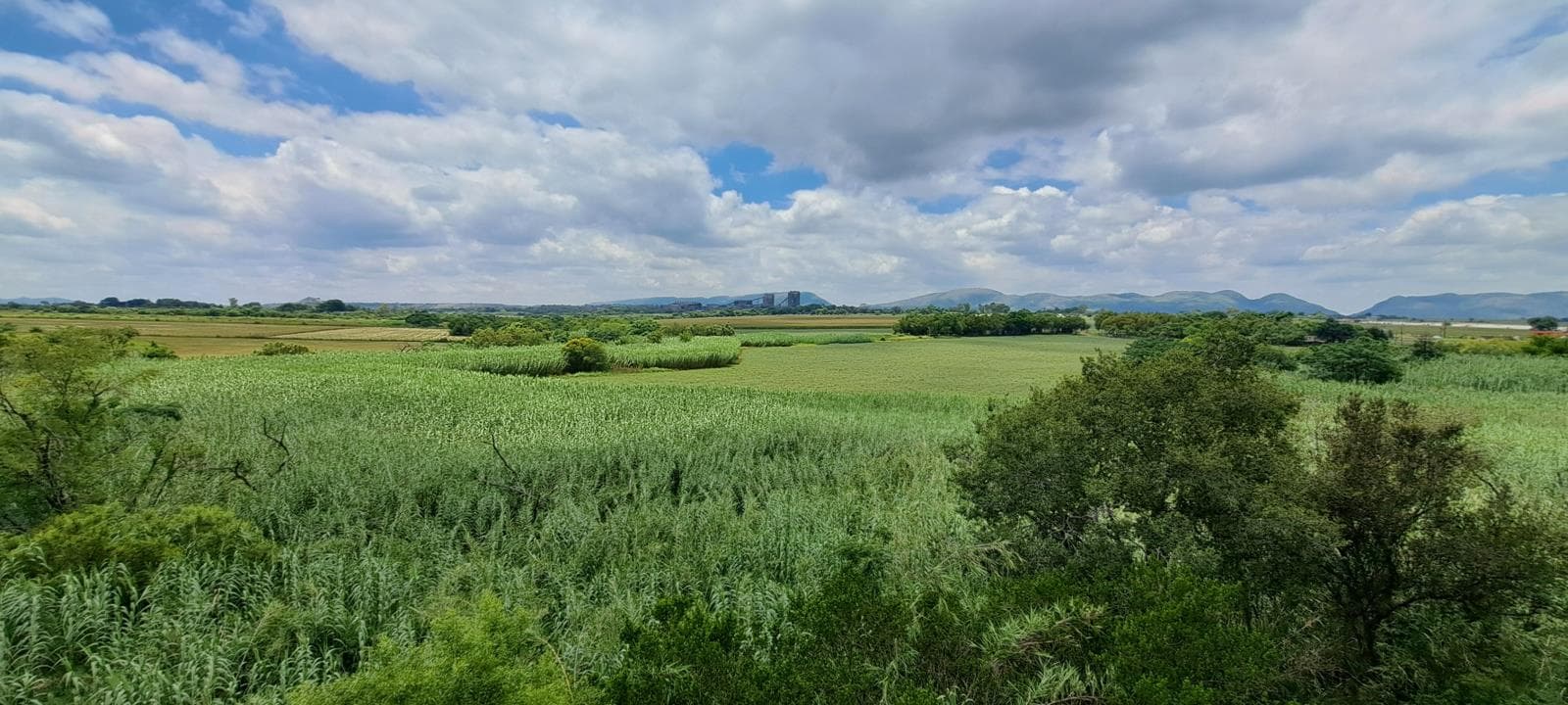 3.1 ha Land available in Primindia