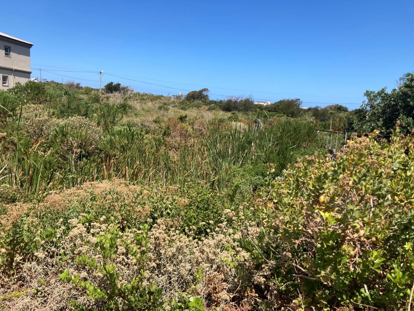 880 m² Land available in Bettys Bay
