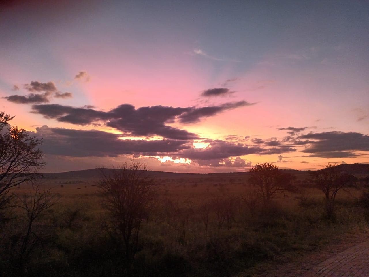 2 061 m² Land available in Lekwena Wildlife Estate