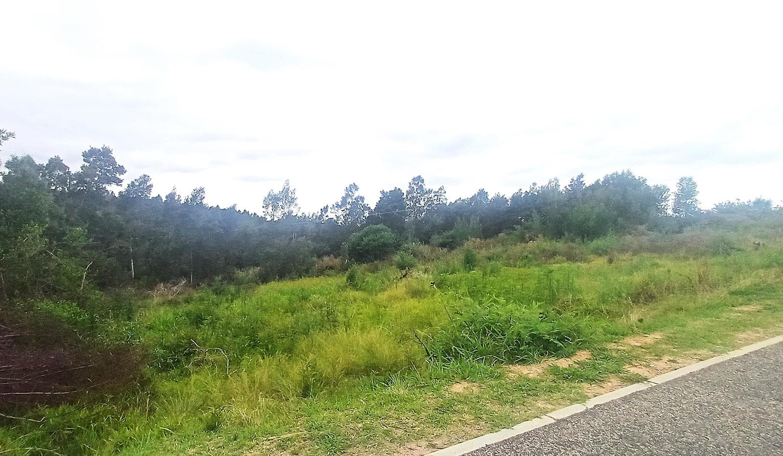 663 m² Land available in Groot Brakrivier