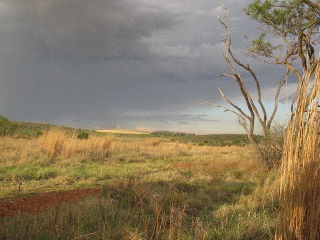 1 772 m² Land available in Lekwena Wildlife Estate