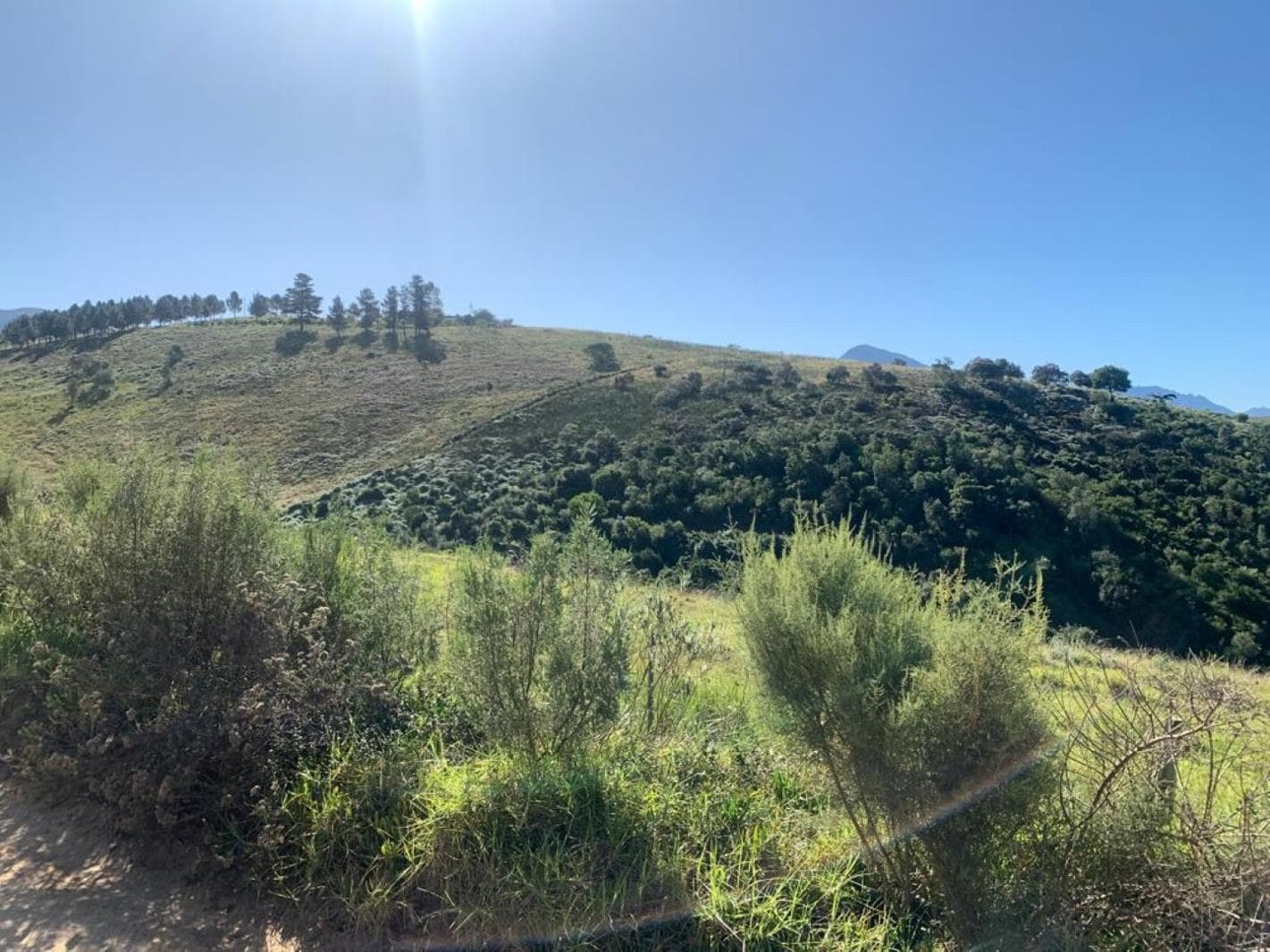 1.8 ha Land available in Groot Brakrivier