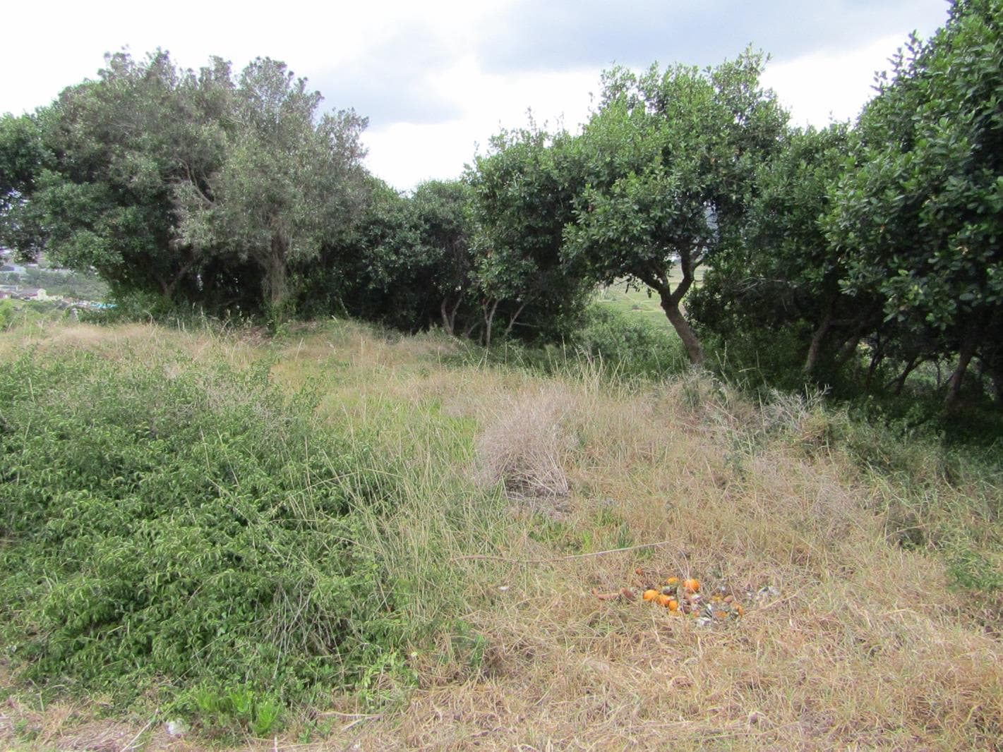 1 168 m² Land available in Groot Brakrivier