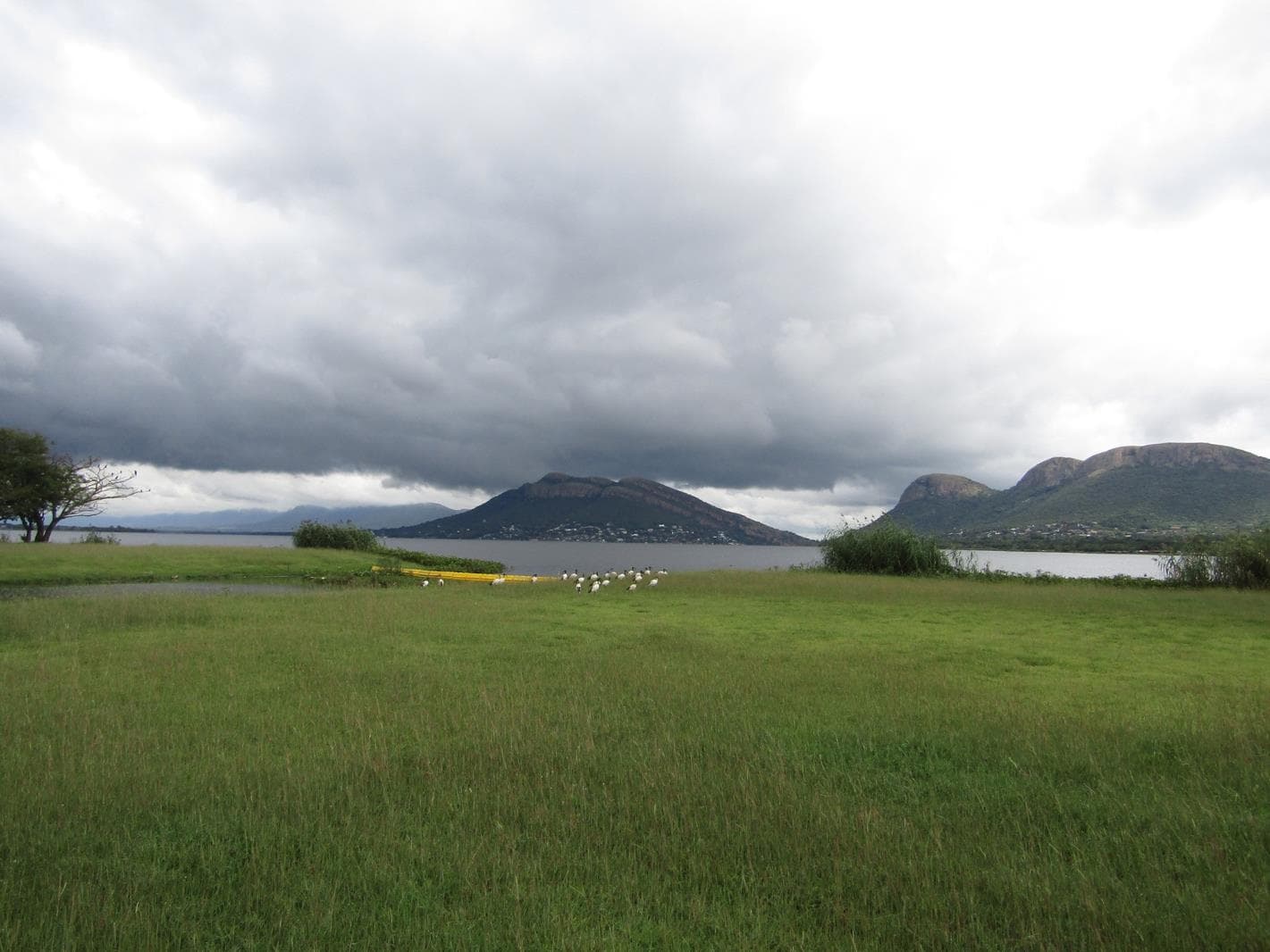 19.7 ha Land available in Ifafi