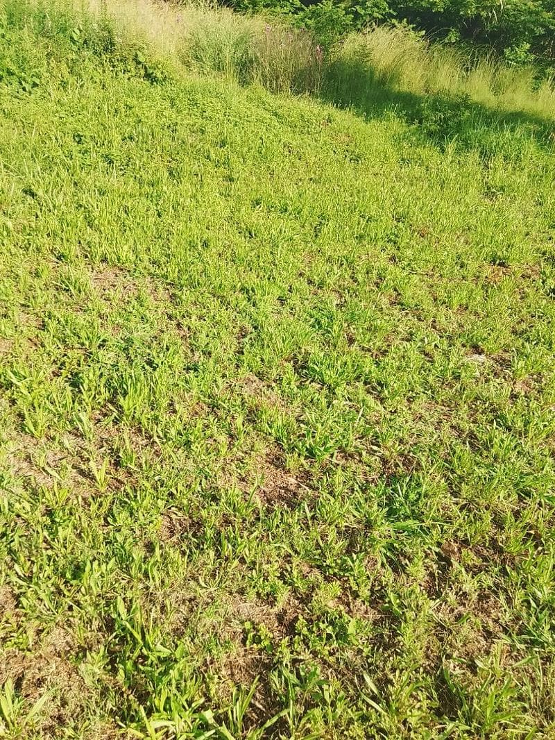 642 m² Land available in Hartbeespoort Dam