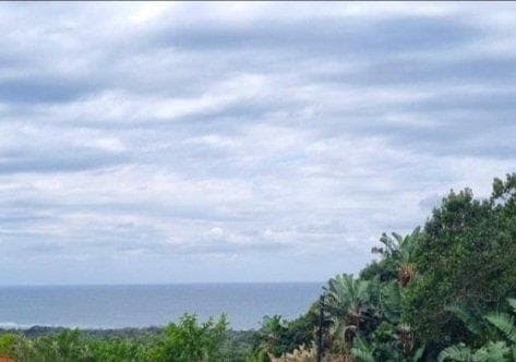 1 758 m² Land available in Trafalgar