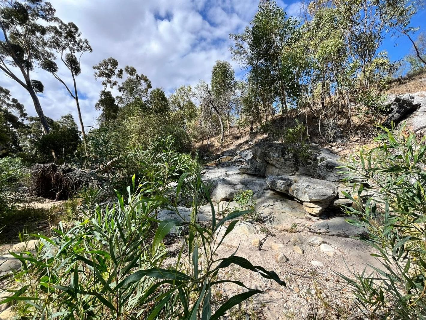 3 119 m² Land available in Napier