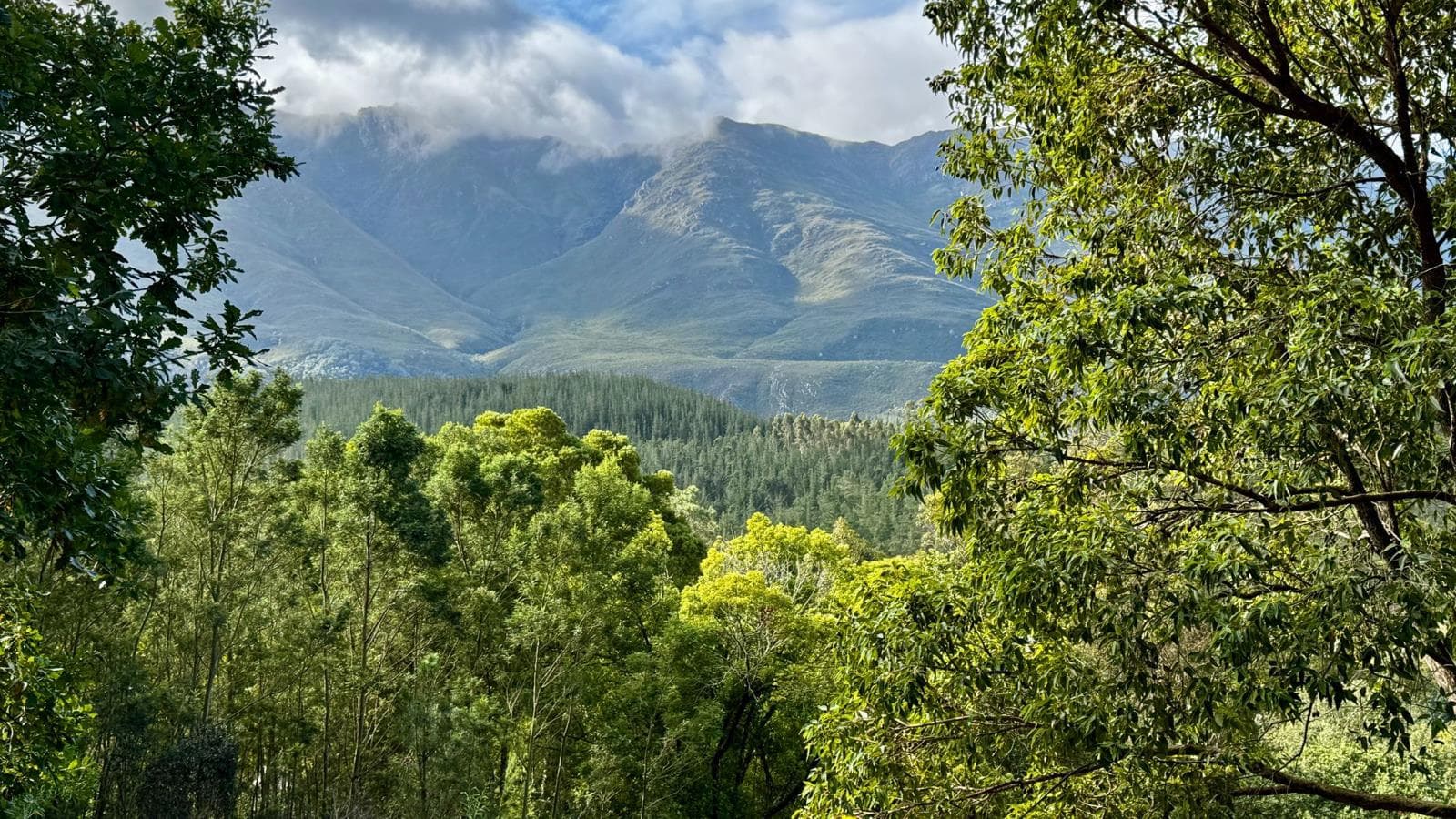 829 m² Land available in Swellendam
