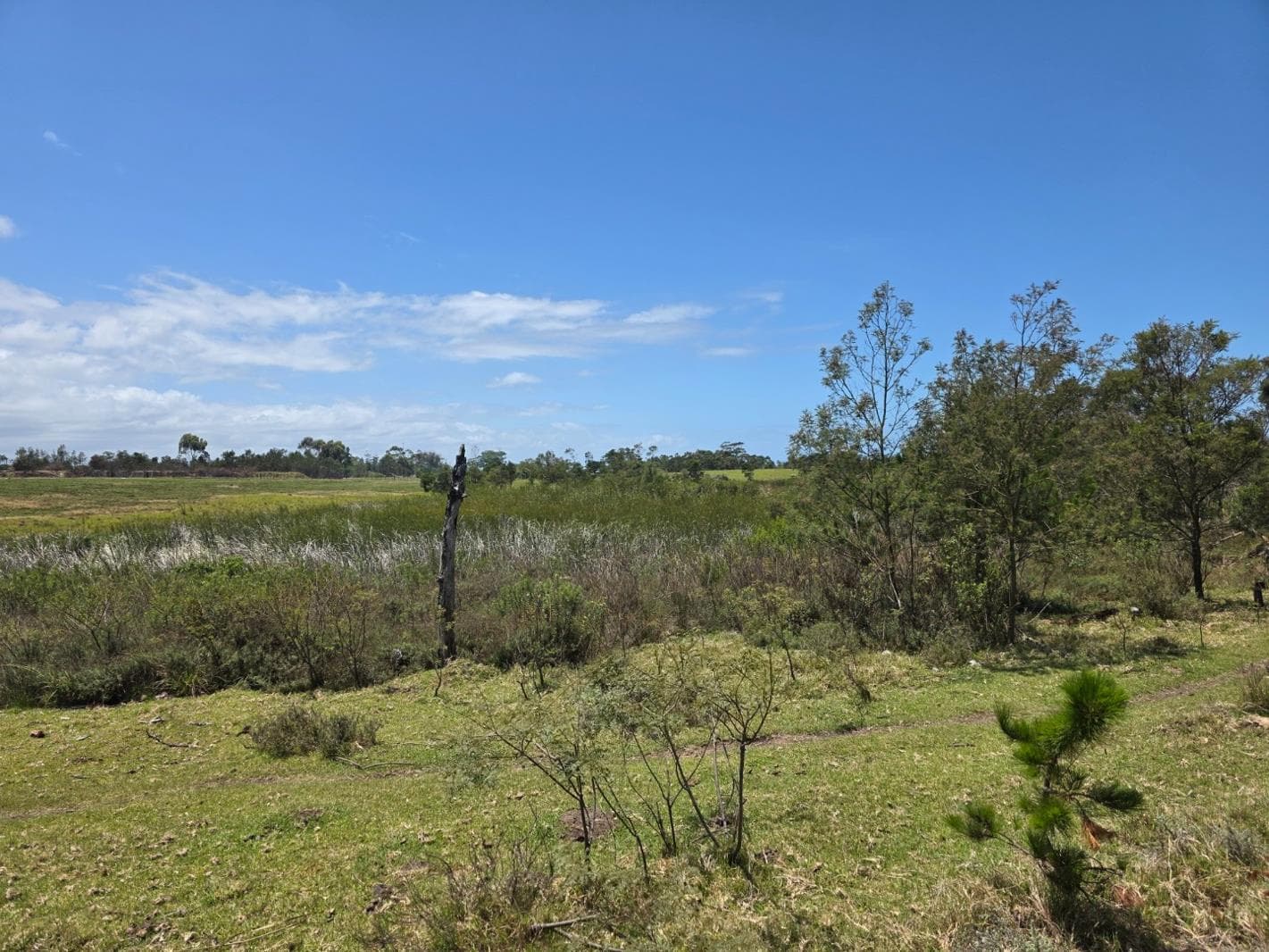 2 ha Land available in Mooikloof Country Estate