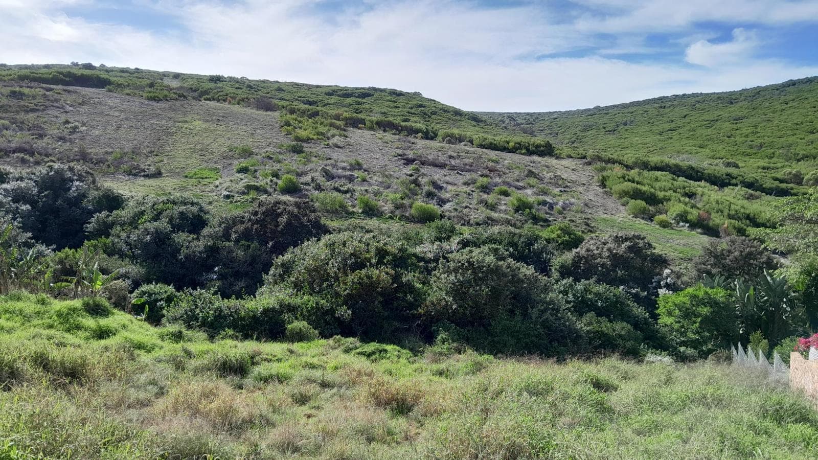 1 090 m² Land available in Dana Bay