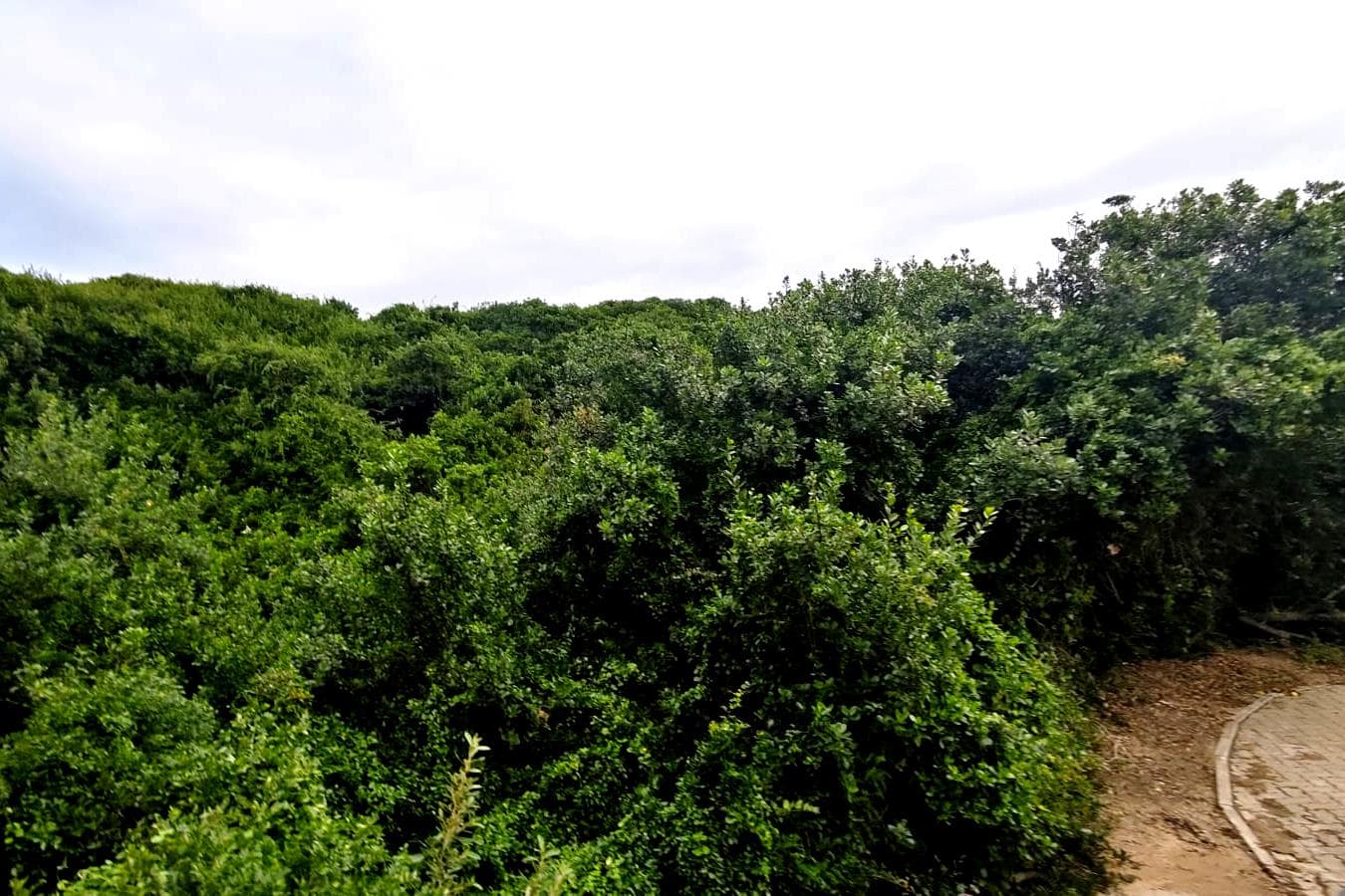 254 m² Land available in Dwarswegstrand