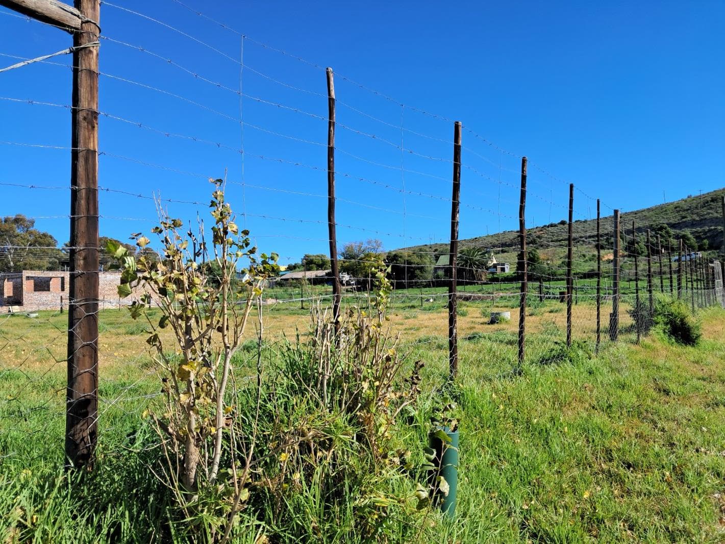 2 141 m² Land available in Uniondale