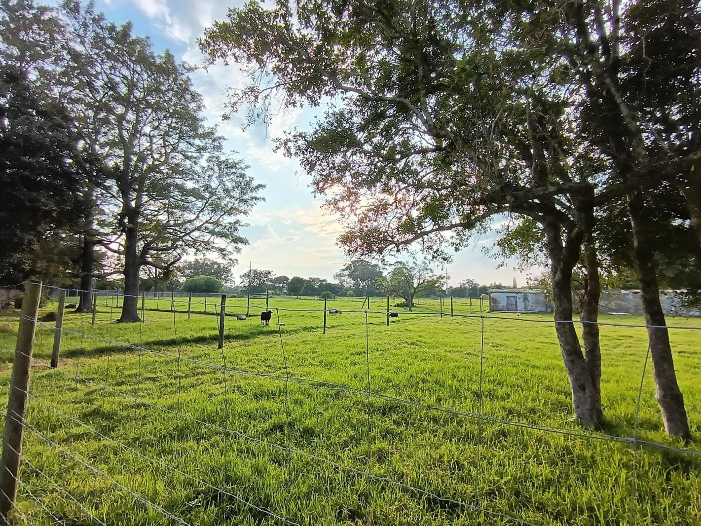 9.4 ha Land available in Beverley Grove
