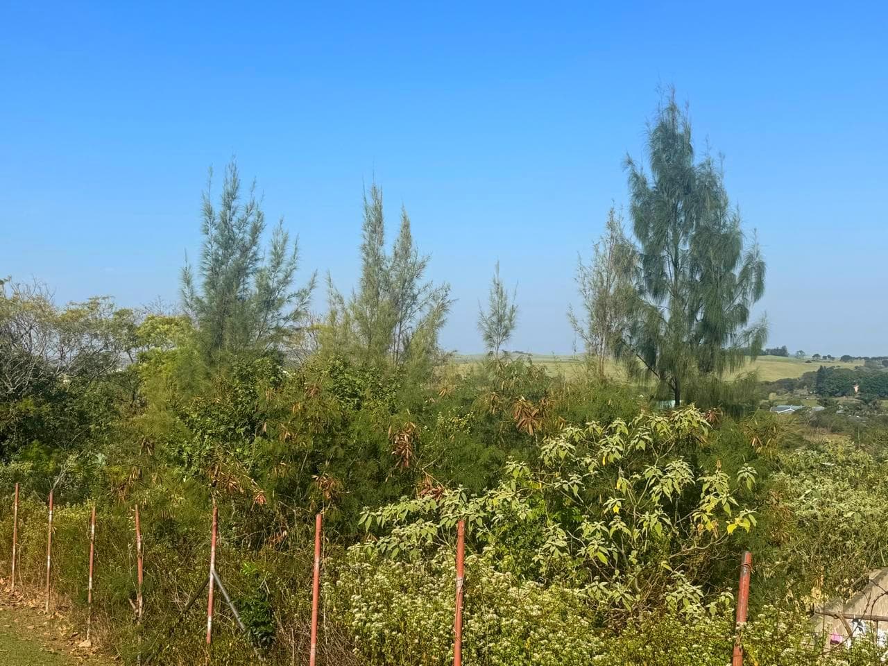 789 m² Land available in Darnall