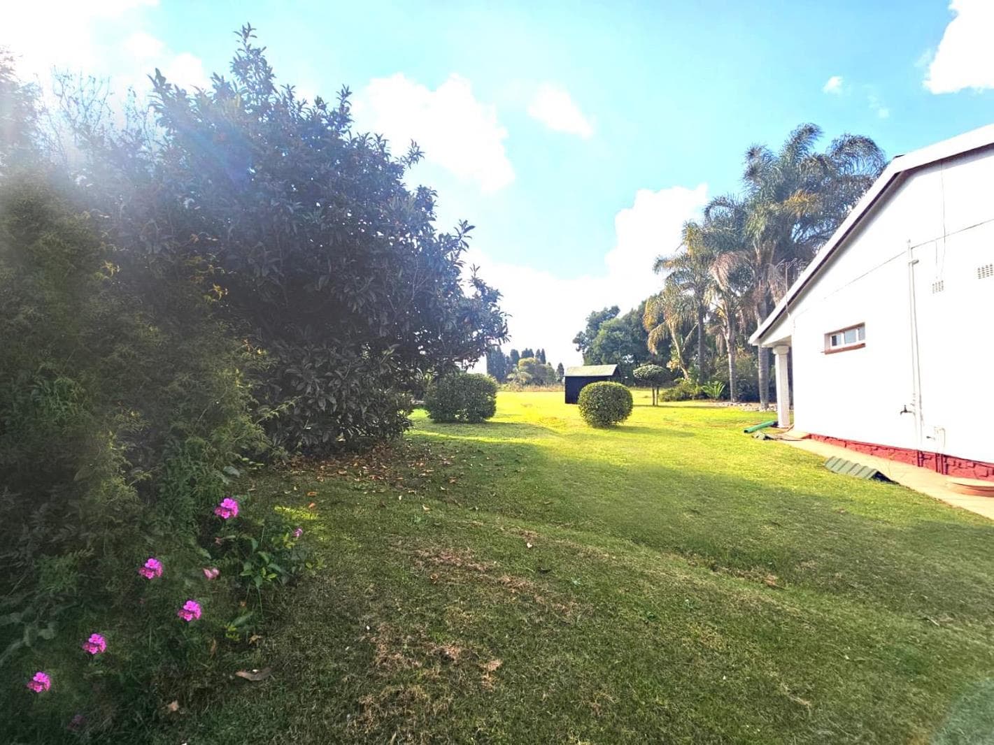 1 Bedroom Garden Cottage in Radiokop