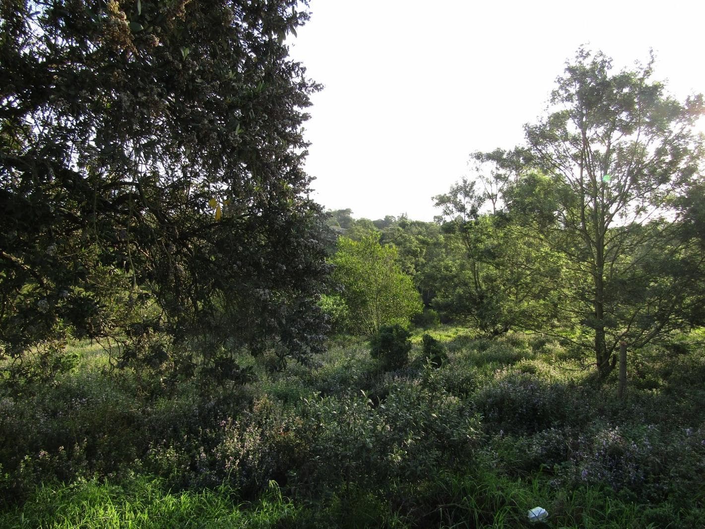 1 711 m² Land available in Kruisfontein