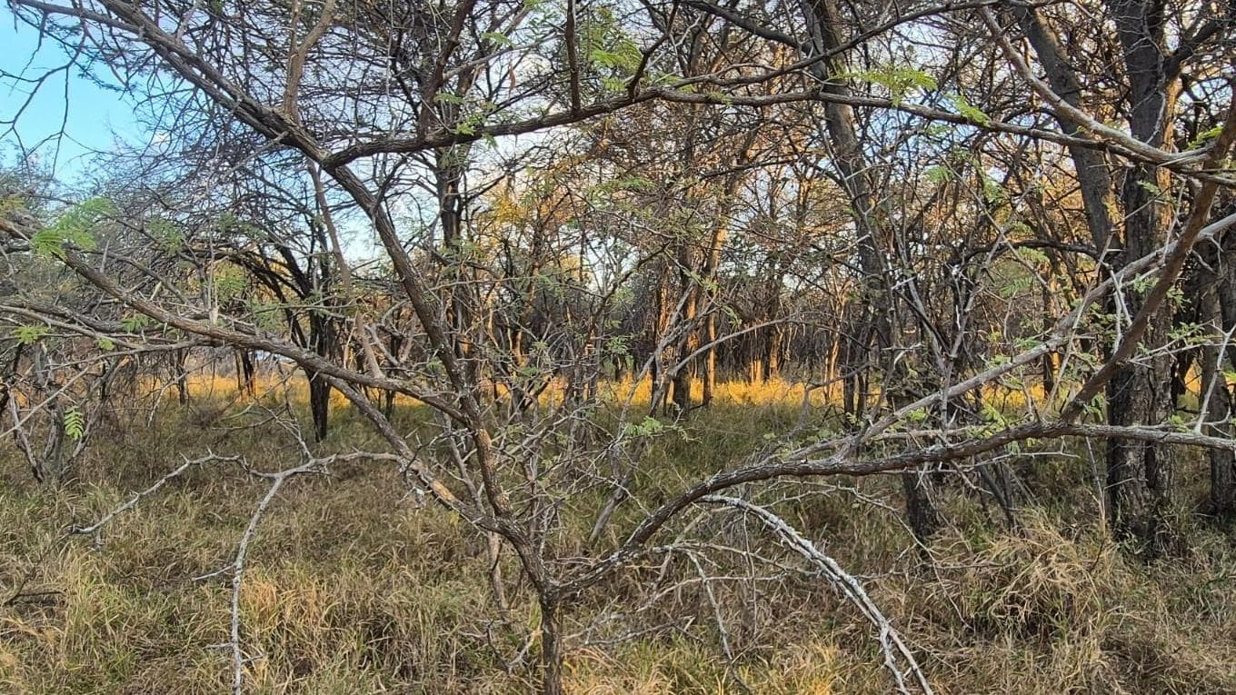 1 043 m² Land available in Mookgophong (Naboomspruit)