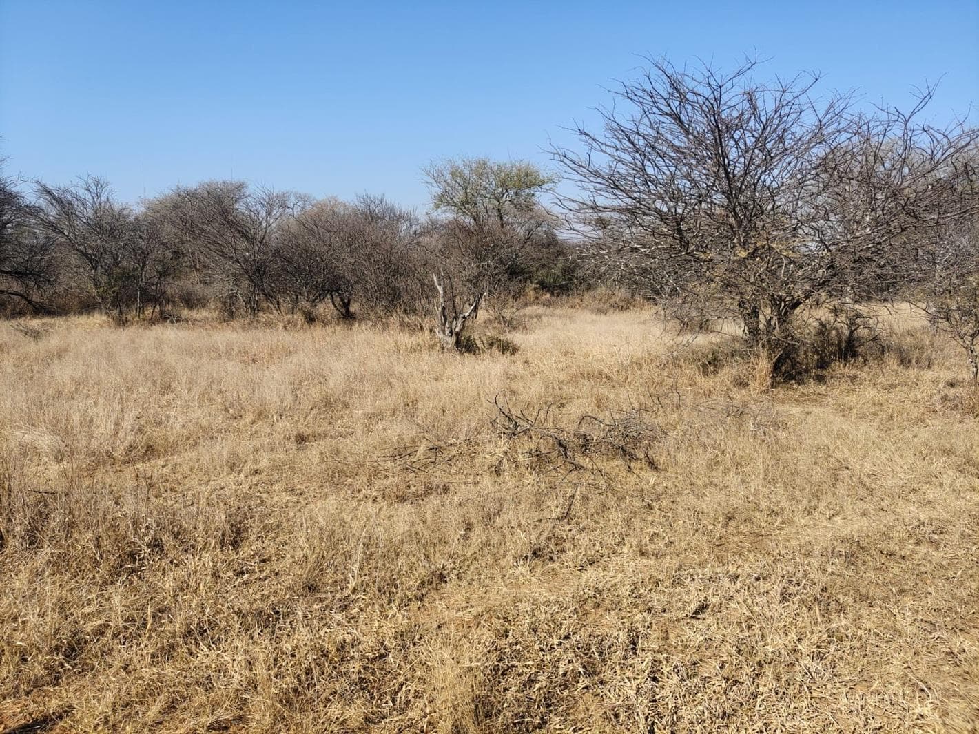 6 879 m² Land available in Ditholo Wildlife Estate