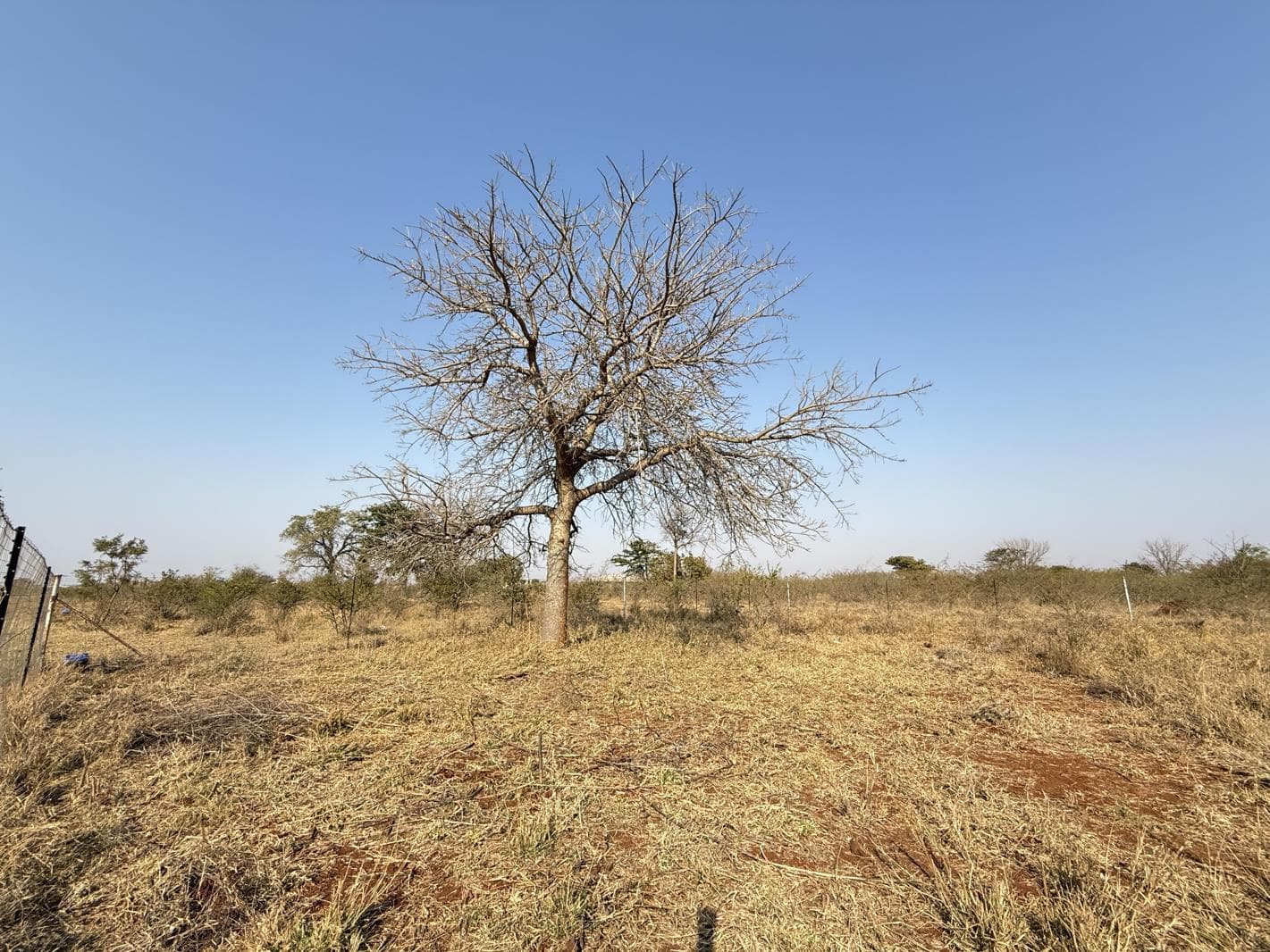452 m² Land available in Lebowakgomo