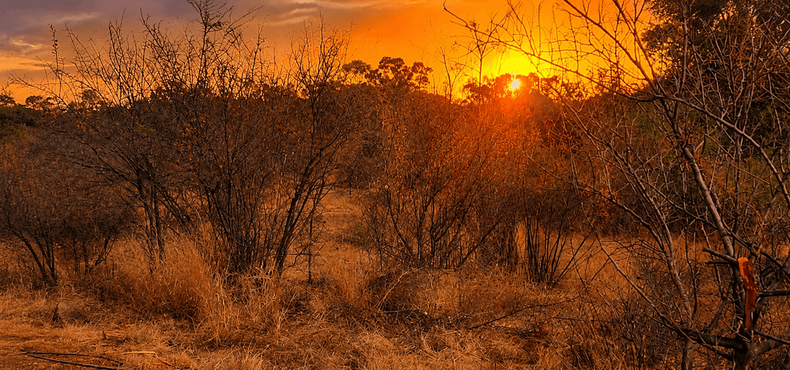 1 355 m² Land available in Vaal Marina