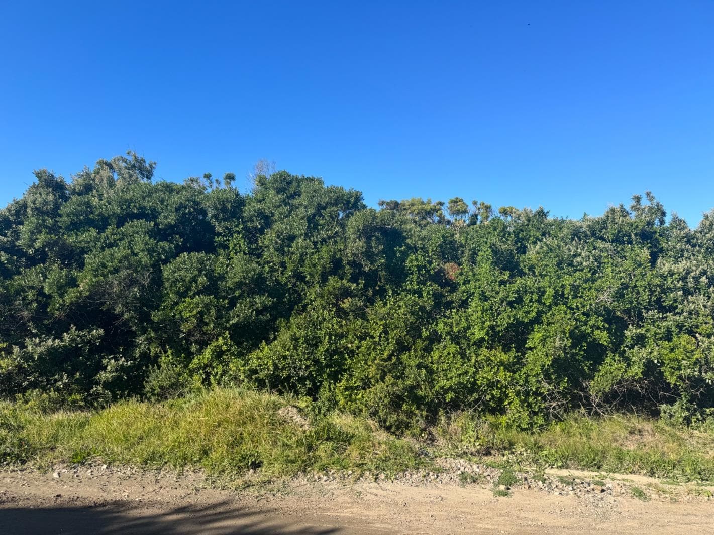 1 039 m² Land available in Cannon Rocks