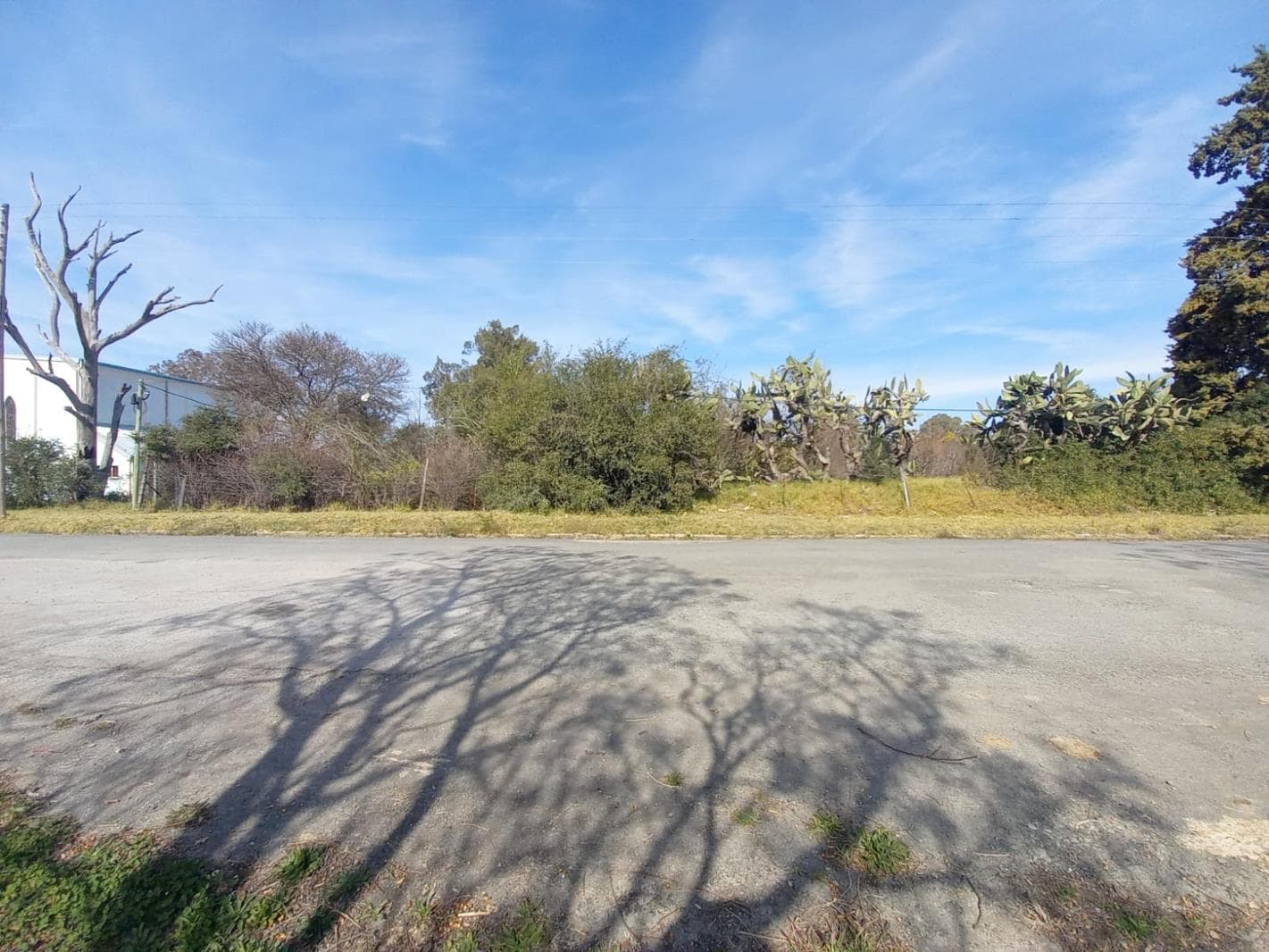 1 542 m² Land available in Somerset East